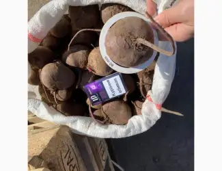Зображення для оголошення Продам буряк