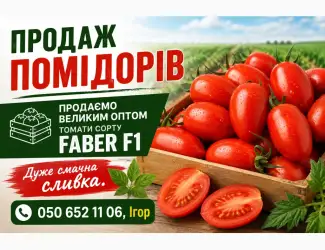 Помідори сливка Faber F1