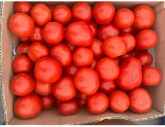 Зображення для оголошення Продам помідор
