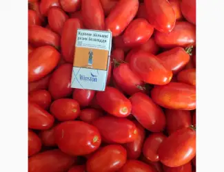 Продам помидори