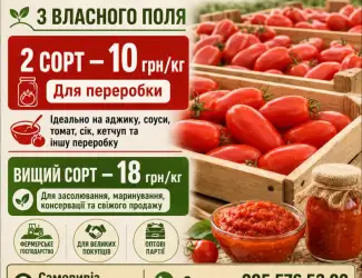 Зображення для оголошення ОПТ. Томат Брісколіно для переробки - від 10 грн/кг