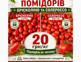 Зображення для оголошення Опт. свіжі помідори брісколіно та солероссо - партія 1–1