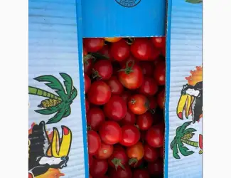 Зображення для оголошення Продам помідор