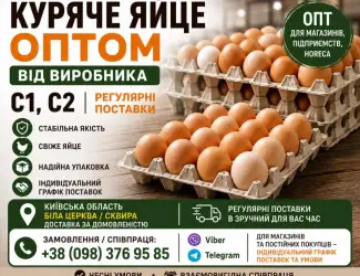 Зображення для оголошення КУРЯЧЕ ЯЙЦЕ ОПТОМ ВІД ВИРОБНИКА С1