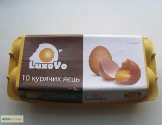 Зображення для оголошення Яйцо куриное