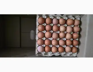 Зображення для оголошення Столове яйце