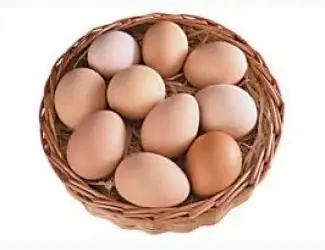 Куплю яйця курячі
