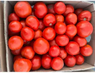 Зображення для оголошення Продам помідор