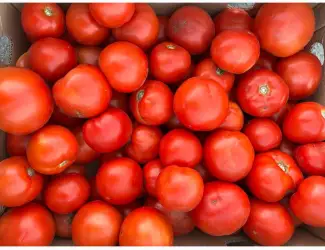 Зображення для оголошення Продам помідори