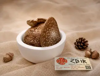 Зображення для оголошення Мухомор Пантерний (Amanita Pantherina), сушений