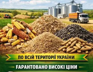 Зображення для оголошення Купуємо зерновідходи та некондицію по Україні. Працюємо з посередниками