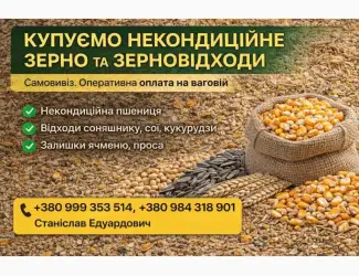 Зображення для оголошення Купуємо некондицію та зерновідходи на постійній основі
