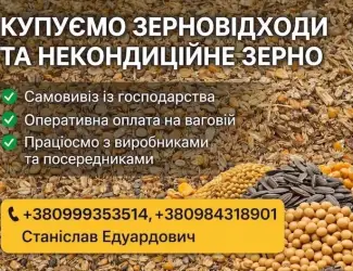 Зображення для оголошення Закуповуємо по Україні зерновідходи та некондицію