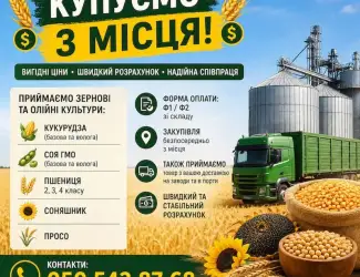 Зображення для оголошення Постійно купуємо зернові та олійні