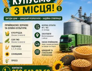 Зображення для оголошення Закупівля зернових та олійних культур - розрахунок за фактом