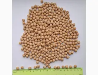 Продам нут оптом