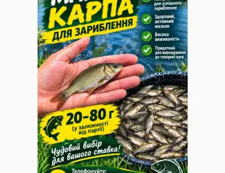 Зображення для оголошення Продаж зарибка коропа