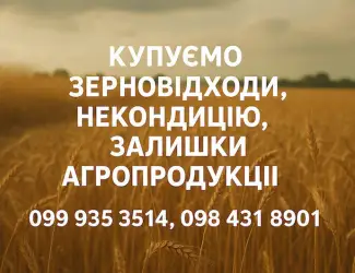 Зображення для оголошення Купуємо некондиційне зерно та побічні продукти