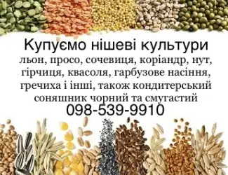 Зображення для оголошення Купуємо всі нішеві культури та кондитерський соняшник
