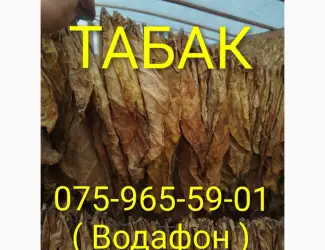 Тютюн Опт/Розница Лапша Пахуч. Чистый Сухой Вирджиния Кентуки Голд Берли. Табак Гильзы