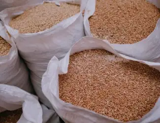 Зображення для оголошення Постійно закуповуємо побічні продукти зернових