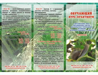 Улиточная ферма методом "Шторного Занавеса". Обучающий курс - практикум