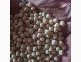 Продам горох 300т