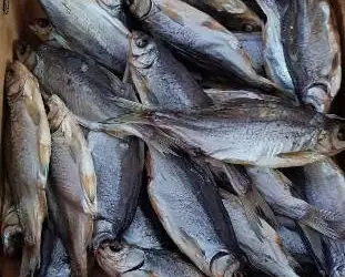 Продам вяленую и копченую рыбу в ассортименте. Опт. Чищенная
