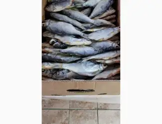 Продам тарань вяленную 125грн/кг. 130грн/кг. 170грн/кг. Опт