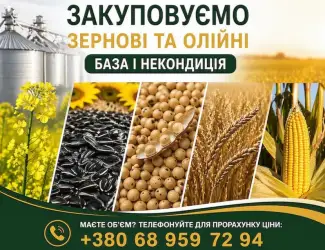Зображення для оголошення Купуємо зернові та олійні культури будь-якої якості