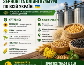 Зображення для оголошення Закупка зернових