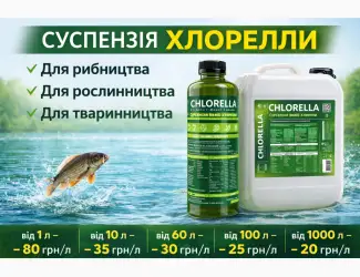 Зображення для оголошення Суспензія Хлорелли від виробника. Живий планктонний штамм