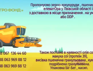 Продамо зерно з елеватора на умовах FCA або DDP.We offer corn