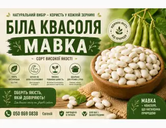 Зображення для оголошення Продаж квасолі Біла мавка(рисовка)
