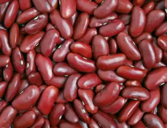 Продаж сортової квасолі гуртовими партіями