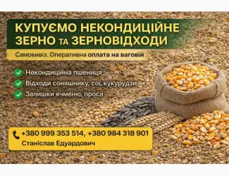 Зображення для оголошення Закупівля некондиційного зерна та агровідходів по Україні