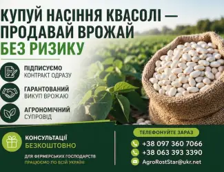 Зображення для оголошення Насіння квасолі білої з гарантією викупу врожаю