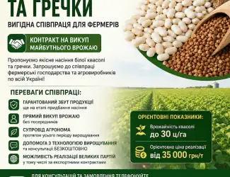 Зображення для оголошення Насіння квасолі та гречки - вигідна співпраця для фермерів