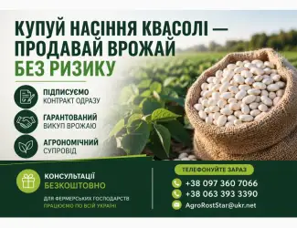 Зображення для оголошення Насіння квасолі на продаж. Гарантія викупу врожаю