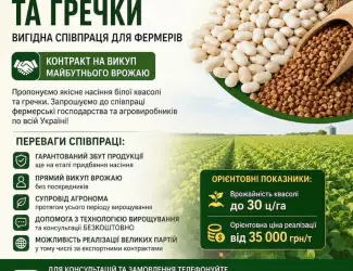 Зображення для оголошення Насіння квасолі та гречки з контрактом на викуп врожаю