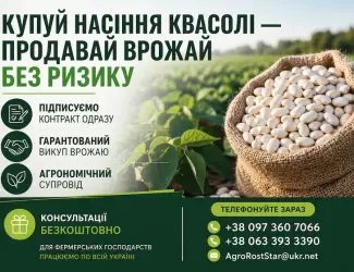 Зображення для оголошення Насіння білої квасолі з контрактом на викуп врожаю