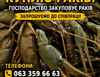 Зображення для оголошення Закуповуємо Рака