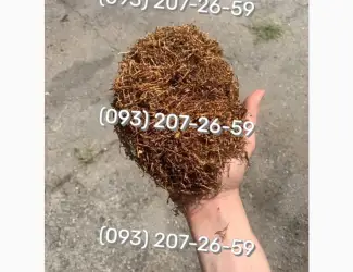Люльки