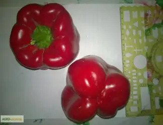 Продам перец салатный