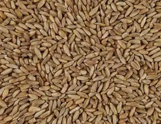 Зображення для оголошення Продам жито