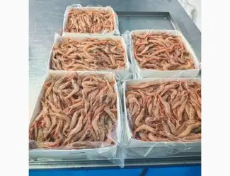 Продам креветку глибоководну!сиру