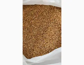 Продам просо жовте в бегах