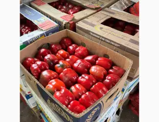 Зображення для оголошення Продам перець кубовидний