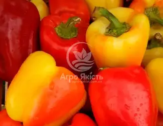 Зображення для оголошення Продам перець Барбі