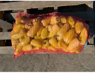 Продам перець білозерка